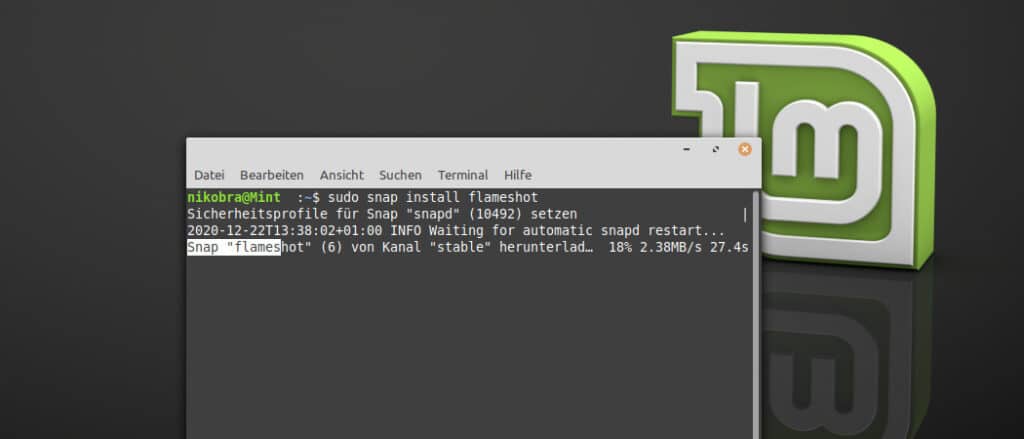 Snap команда не найдена linux mint